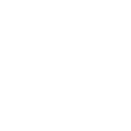 Icon-Primary Care