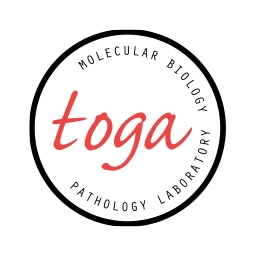 Toga Path